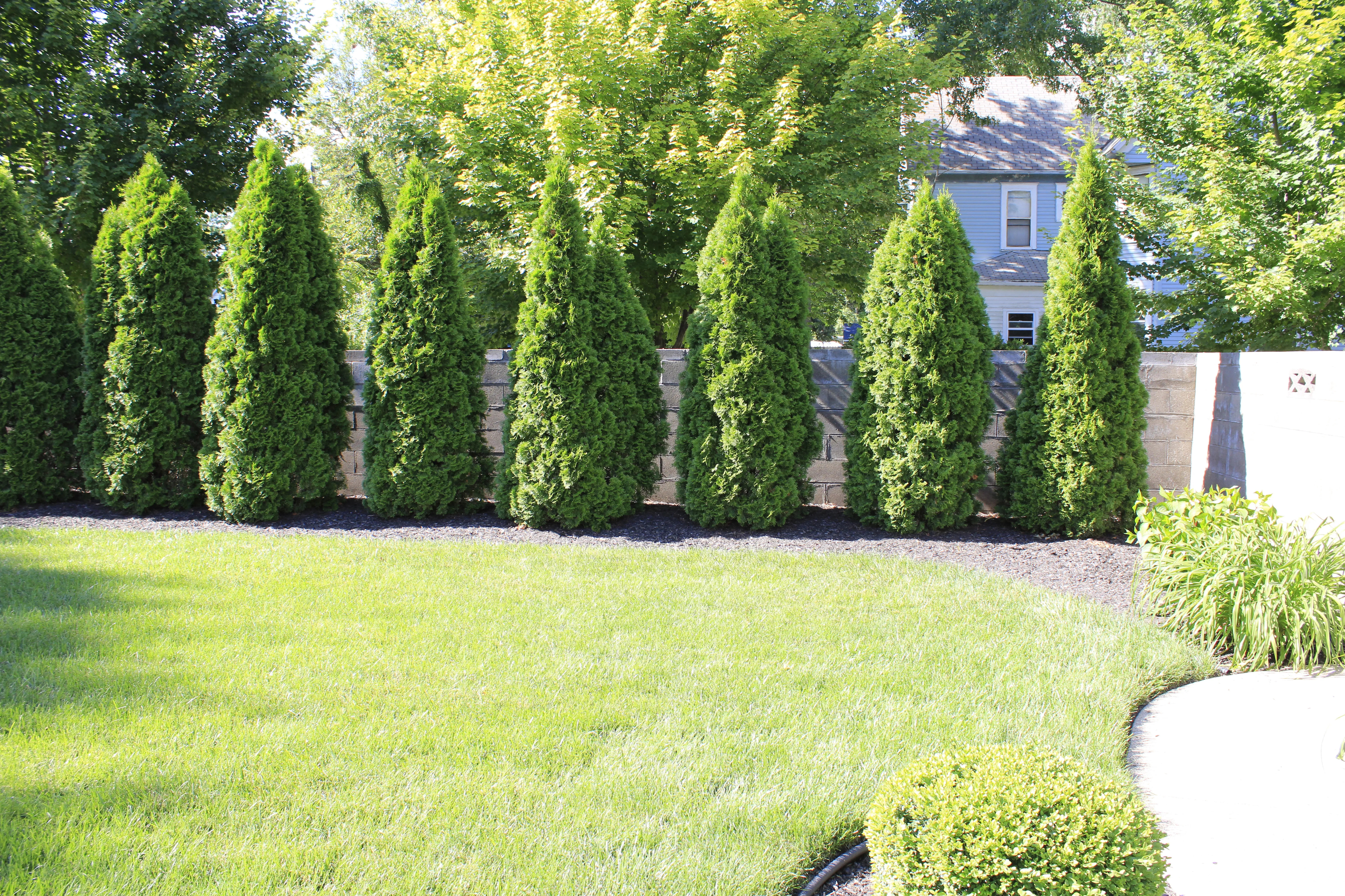 Landscape Back 1 by Quality Landscape and Leisure